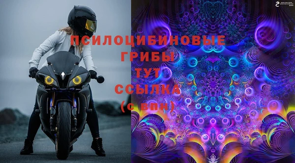 а пвп мука Гусиноозёрск